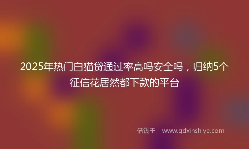 2025年热门白猫贷通过率高吗安全吗，归纳5个征信花居然都下款的平台