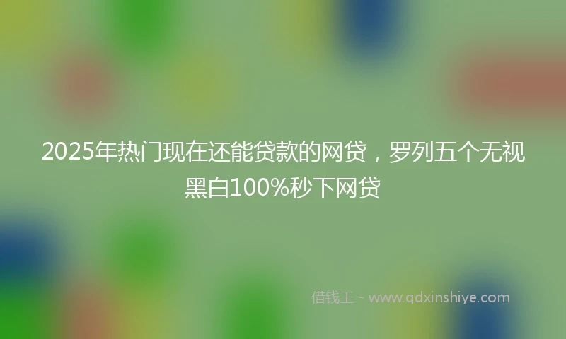 2025年热门现在还能贷款的网贷，罗列五个无视黑白100%秒下网贷