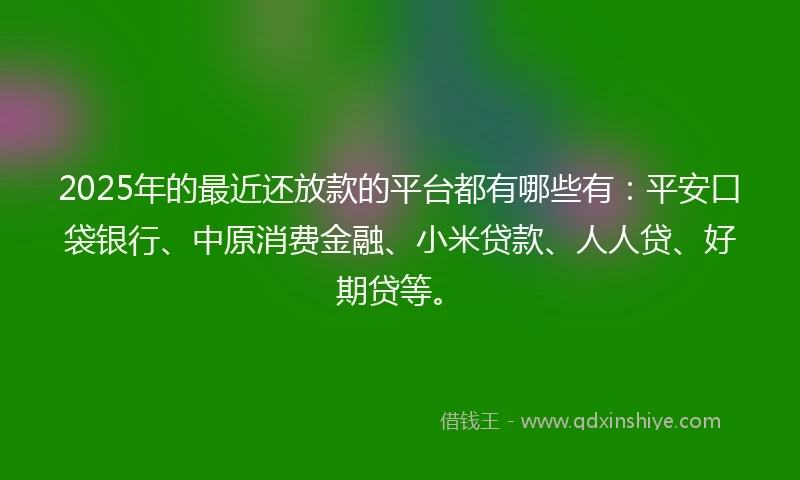 2025年的最近还放款的平台都有哪些有：平安口袋银行、中原消费金融、小米贷款、人人贷、好期贷等。