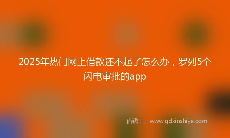 2025年热门网上借款还不起了怎么办，罗列5个闪电审批的app