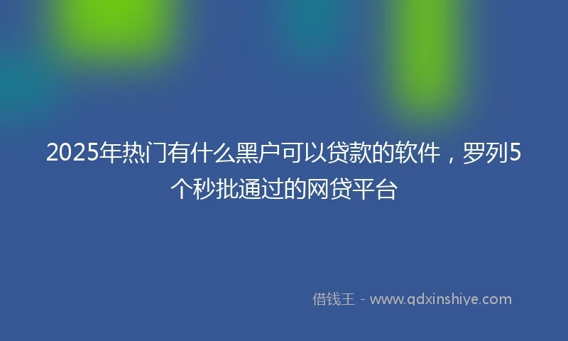 2025年热门有什么黑户可以贷款的软件，罗列5个秒批通过的网贷平台