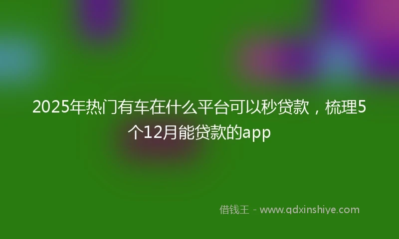2025年热门有车在什么平台可以秒贷款，梳理5个12月能贷款的app