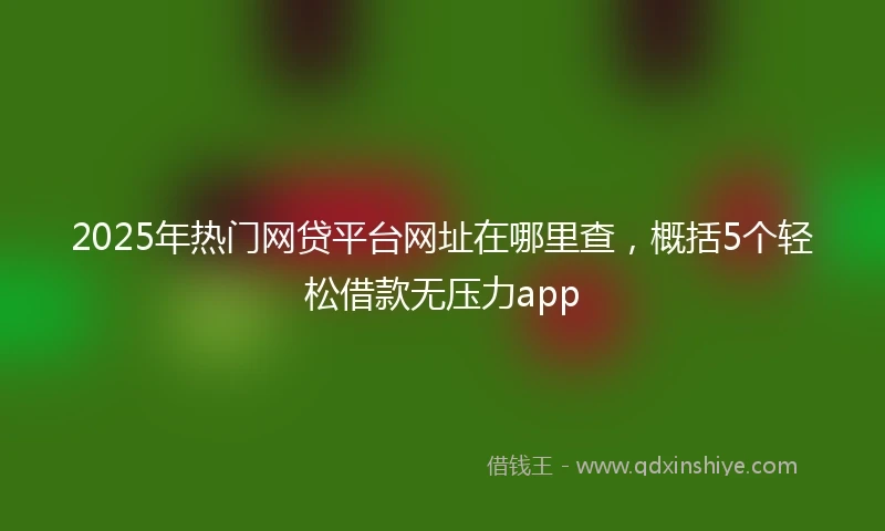 2025年热门网贷平台网址在哪里查，概括5个轻松借款无压力app