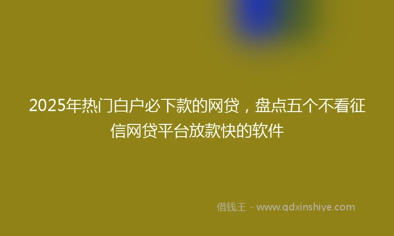 2025年热门白户必下款的网贷，盘点五个不看征信网贷平台放款快的软件