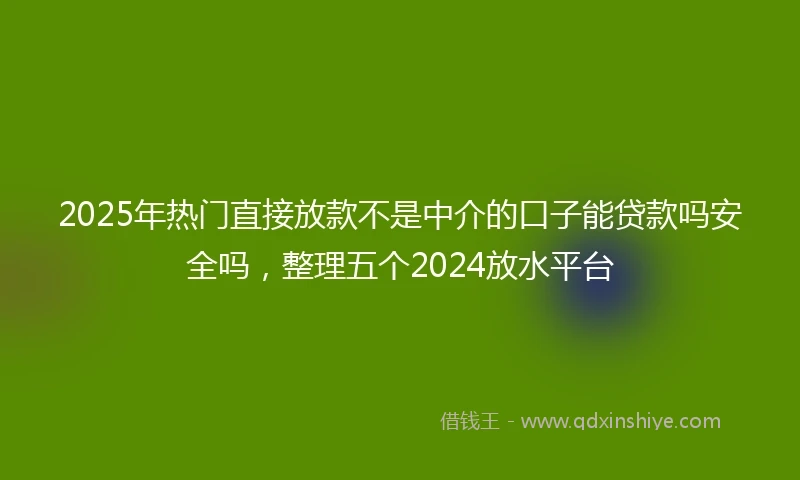 2025年热门直接放款不是中介的口子能贷款吗安全吗，整理五个2024放水平台