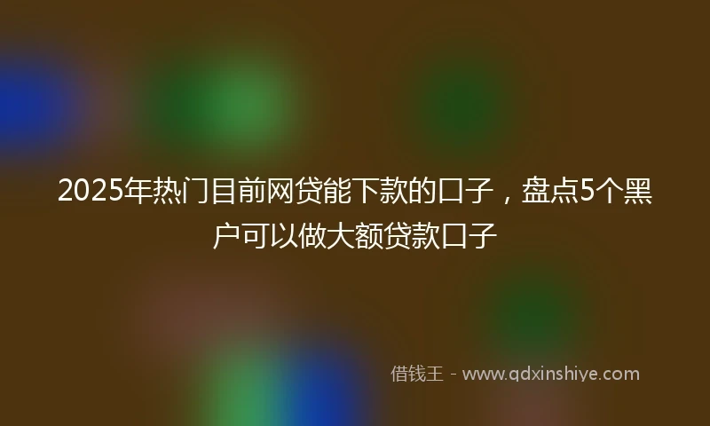 2025年热门目前网贷能下款的口子，盘点5个黑户可以做大额贷款口子