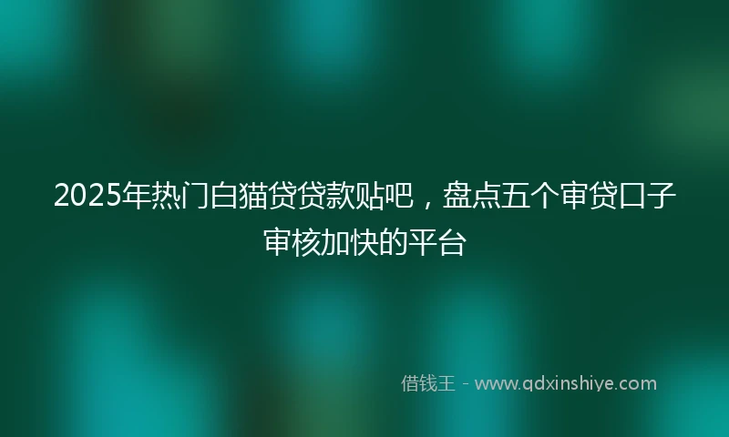 2025年热门白猫贷贷款贴吧，盘点五个审贷口子审核加快的平台