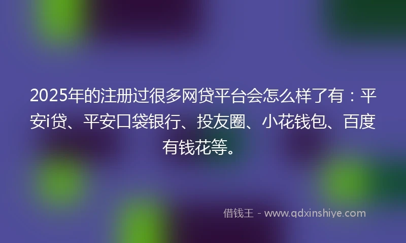 2025年的注册过很多网贷平台会怎么样了有：平安i贷、平安口袋银行、投友圈、小花钱包、百度有钱花等。