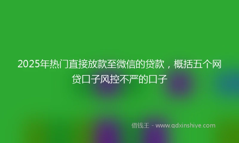 2025年热门直接放款至微信的贷款，概括五个网贷口子风控不严的口子