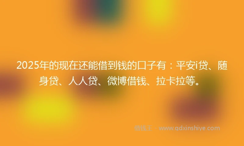 2025年的现在还能借到钱的口子有：平安i贷、随身贷、人人贷、微博借钱、拉卡拉等。