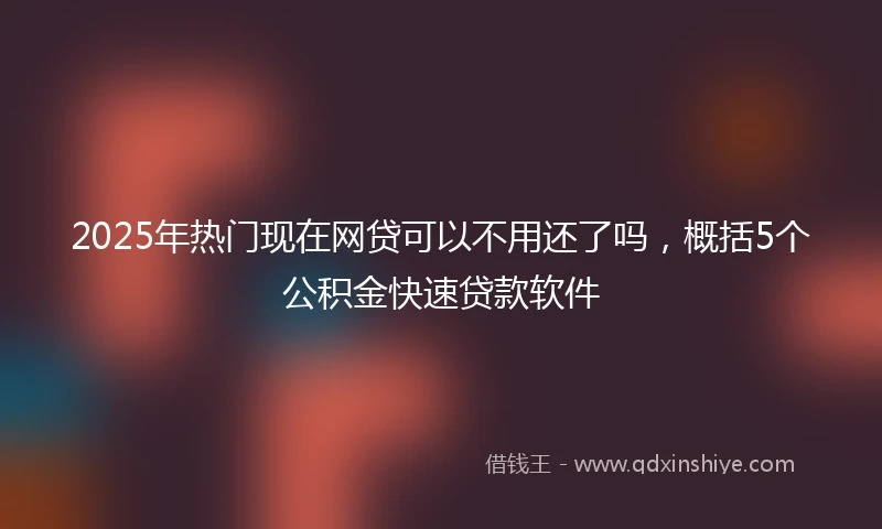 2025年热门现在网贷可以不用还了吗，概括5个公积金快速贷款软件
