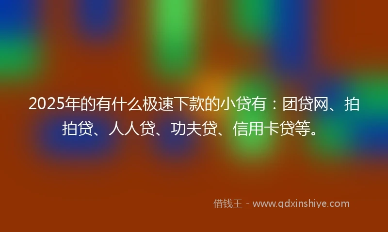 2025年的有什么极速下款的小贷有：团贷网、拍拍贷、人人贷、功夫贷、信用卡贷等。