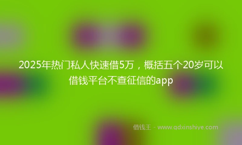 2025年热门私人快速借5万，概括五个20岁可以借钱平台不查征信的app