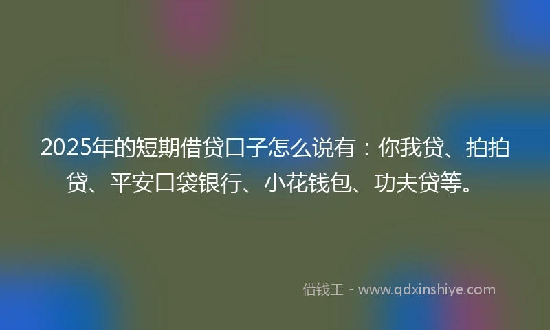 2025年的短期借贷口子怎么说有：你我贷、拍拍贷、平安口袋银行、小花钱包、功夫贷等。