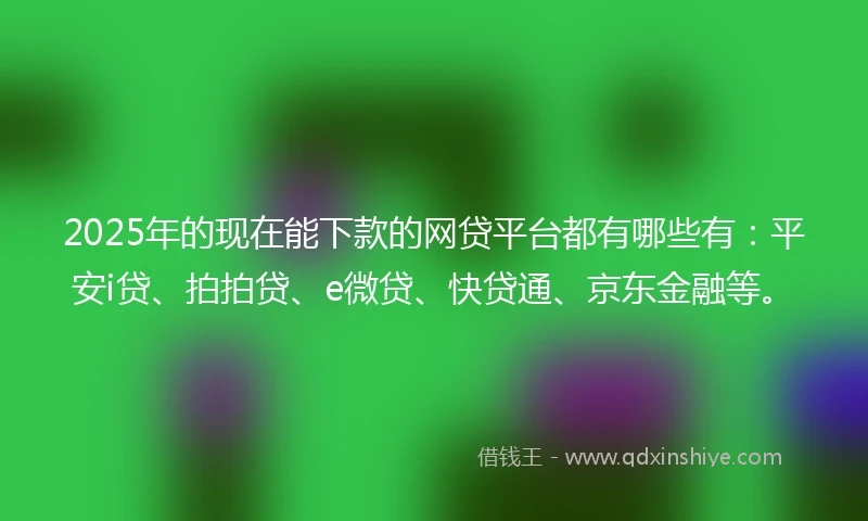 2025年的现在能下款的网贷平台都有哪些有：平安i贷、拍拍贷、e微贷、快贷通、京东金融等。