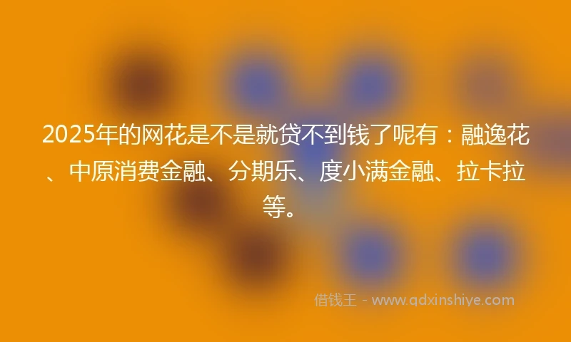 2025年的网花是不是就贷不到钱了呢有：融逸花、中原消费金融、分期乐、度小满金融、拉卡拉等。