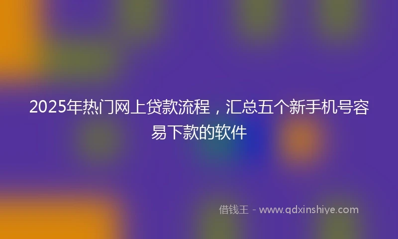 2025年热门网上贷款流程，汇总五个新手机号容易下款的软件