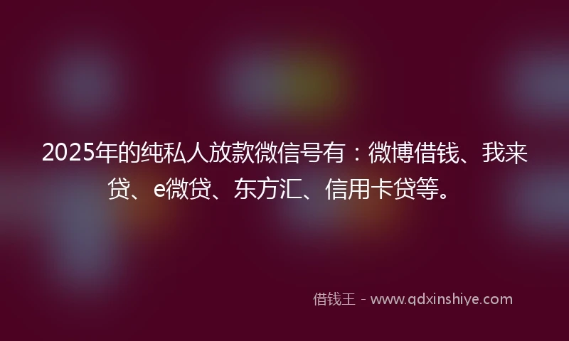 2025年的纯私人放款微信号有：微博借钱、我来贷、e微贷、东方汇、信用卡贷等。