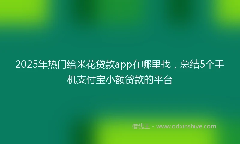 2025年热门给米花贷款app在哪里找，总结5个手机支付宝小额贷款的平台
