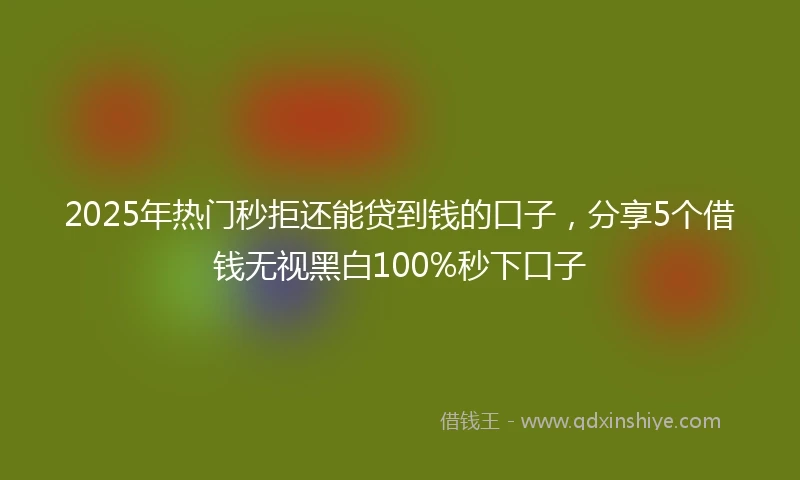 2025年热门秒拒还能贷到钱的口子，分享5个借钱无视黑白100%秒下口子