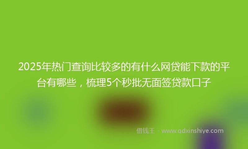 2025年热门查询比较多的有什么网贷能下款的平台有哪些，梳理5个秒批无面签贷款口子