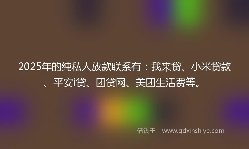 2025年的纯私人放款联系有：我来贷、小米贷款、平安i贷、团贷网、美团生活费等。