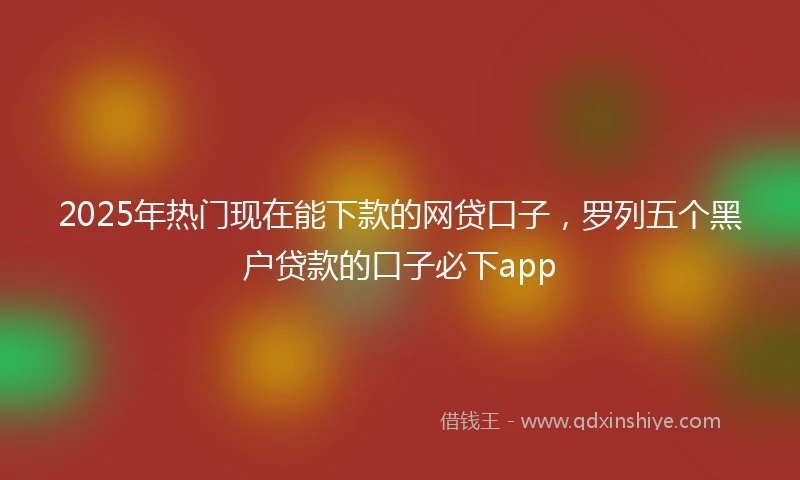 2025年热门现在能下款的网贷口子，罗列五个黑户贷款的口子必下app