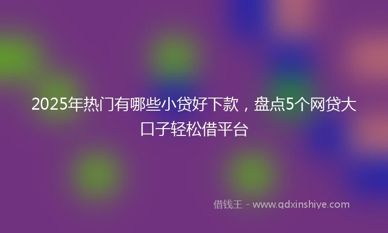 2025年热门有哪些小贷好下款，盘点5个网贷大口子轻松借平台