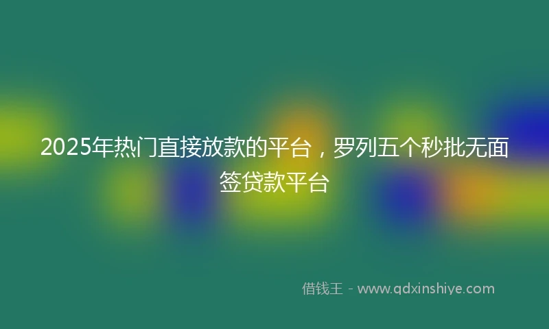 2025年热门直接放款的平台，罗列五个秒批无面签贷款平台