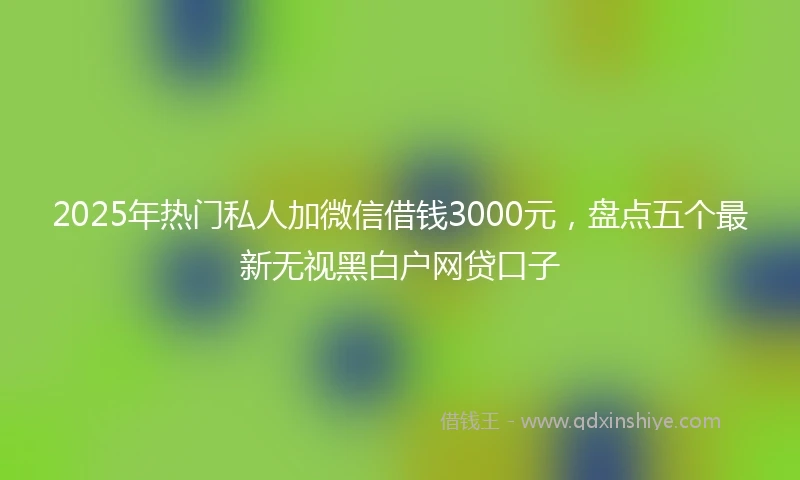 2025年热门私人加微信借钱3000元，盘点五个最新无视黑白户网贷口子