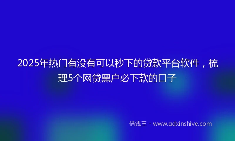 2025年热门有没有可以秒下的贷款平台软件，梳理5个网贷黑户必下款的口子