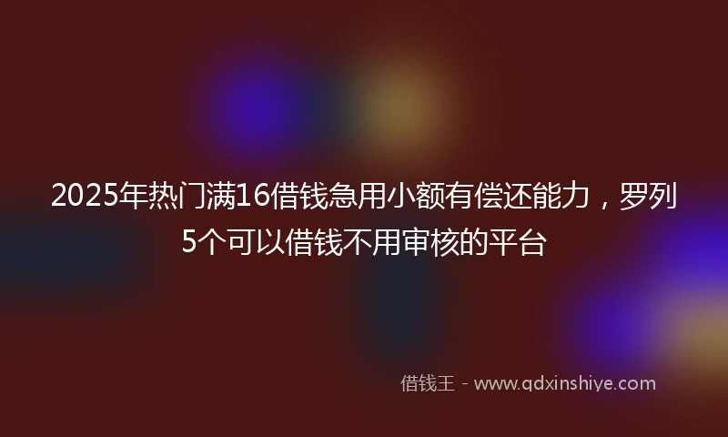 2025年热门满16借钱急用小额有偿还能力，罗列5个可以借钱不用审核的平台