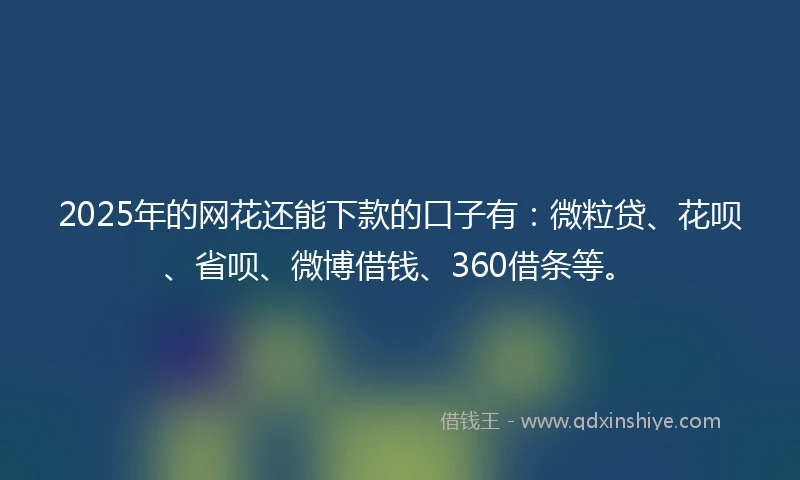 2025年的网花还能下款的口子有：微粒贷、花呗、省呗、微博借钱、360借条等。