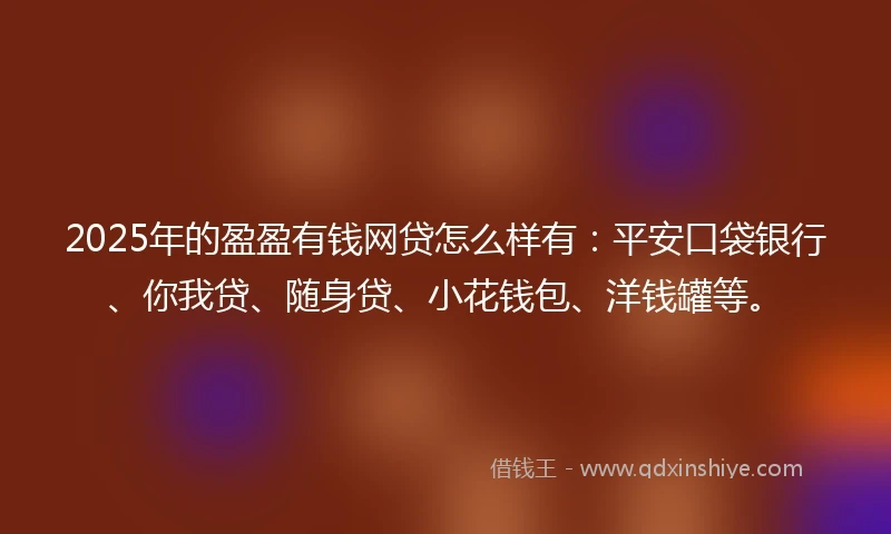 2025年的盈盈有钱网贷怎么样有：平安口袋银行、你我贷、随身贷、小花钱包、洋钱罐等。