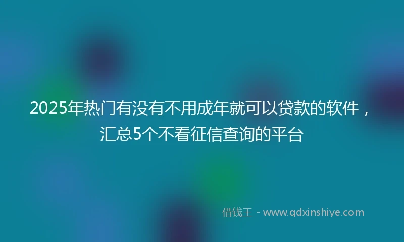 2025年热门有没有不用成年就可以贷款的软件，汇总5个不看征信查询的平台