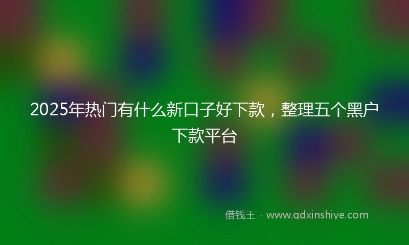 2025年热门有什么新口子好下款，整理五个黑户下款平台
