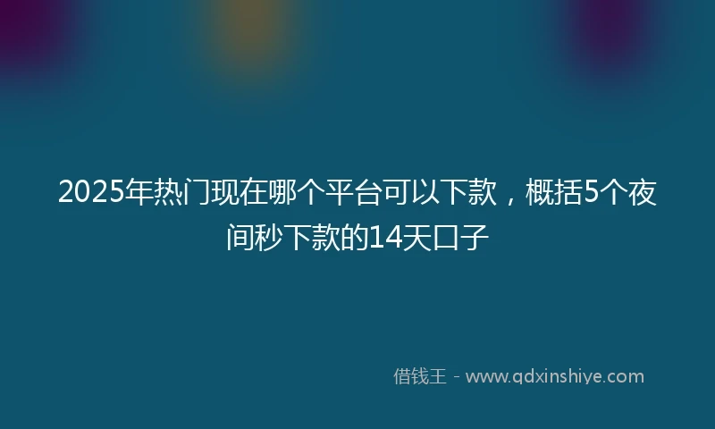 2025年热门现在哪个平台可以下款，概括5个夜间秒下款的14天口子