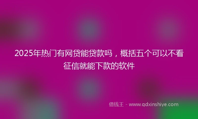 2025年热门有网贷能贷款吗，概括五个可以不看征信就能下款的软件