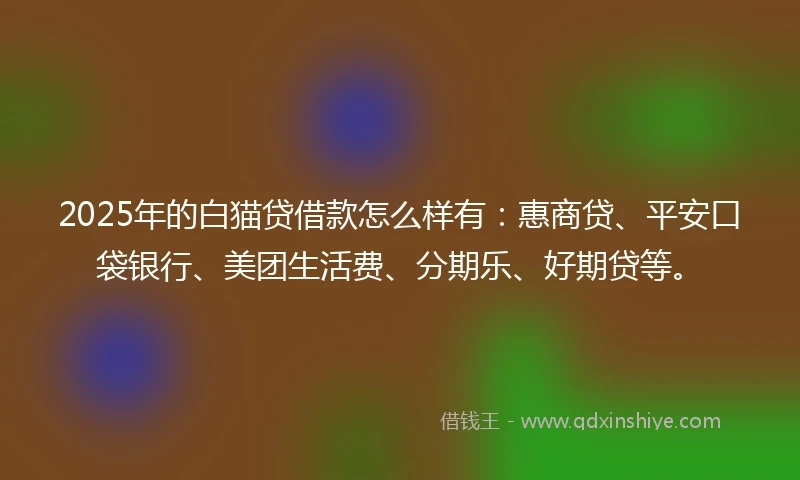2025年的白猫贷借款怎么样有：惠商贷、平安口袋银行、美团生活费、分期乐、好期贷等。