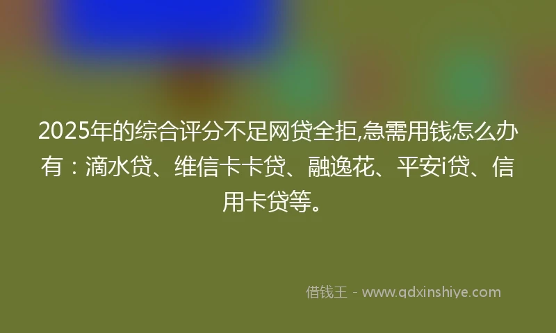 2025年的综合评分不足网贷全拒,急需用钱怎么办有：滴水贷、维信卡卡贷、融逸花、平安i贷、信用卡贷等。