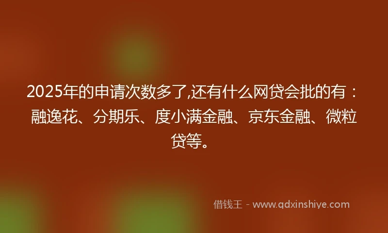 2025年的申请次数多了,还有什么网贷会批的有：融逸花、分期乐、度小满金融、京东金融、微粒贷等。