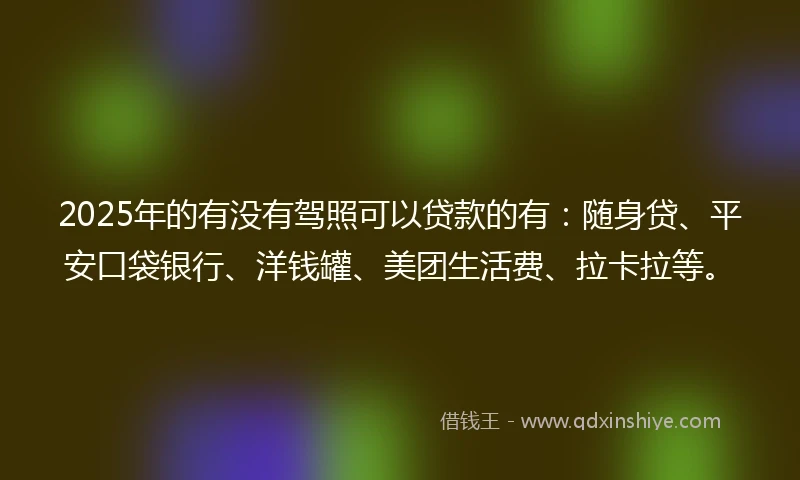 2025年的有没有驾照可以贷款的有：随身贷、平安口袋银行、洋钱罐、美团生活费、拉卡拉等。