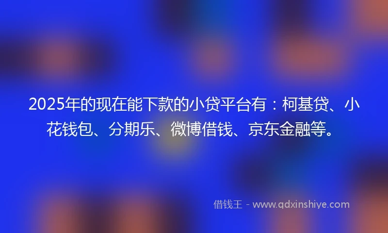 2025年的现在能下款的小贷平台有：柯基贷、小花钱包、分期乐、微博借钱、京东金融等。