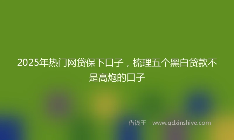 2025年热门网贷保下口子，梳理五个黑白贷款不是高炮的口子