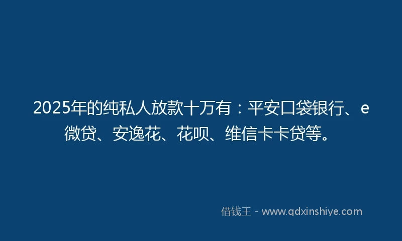 2025年的纯私人放款十万有：平安口袋银行、e微贷、安逸花、花呗、维信卡卡贷等。