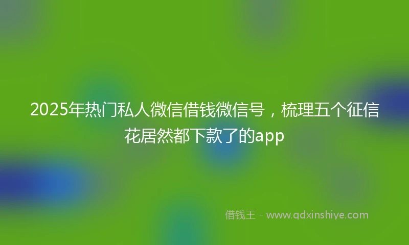 2025年热门私人微信借钱微信号，梳理五个征信花居然都下款了的app
