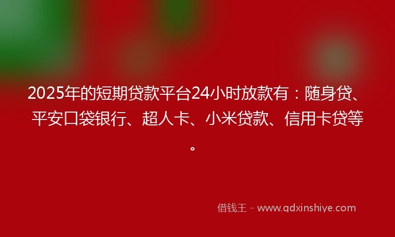 2025年的短期贷款平台24小时放款有：随身贷、平安口袋银行、超人卡、小米贷款、信用卡贷等。