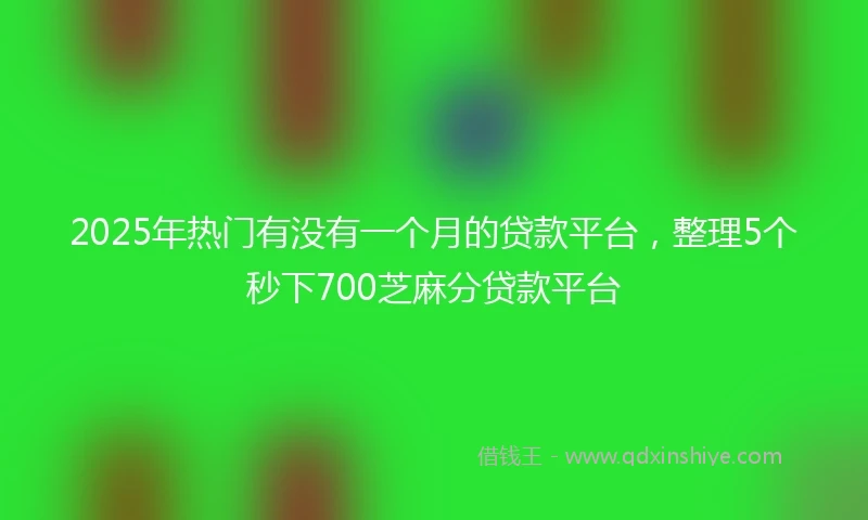 2025年热门有没有一个月的贷款平台，整理5个秒下700芝麻分贷款平台
