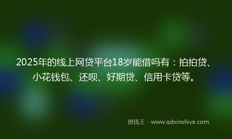 2025年的线上网贷平台18岁能借吗有：拍拍贷、小花钱包、还呗、好期贷、信用卡贷等。