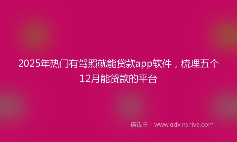 2025年热门有驾照就能贷款app软件，梳理五个12月能贷款的平台